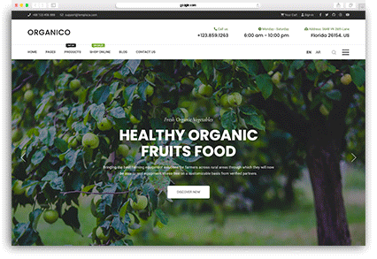 Organic-Food.gif